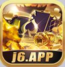 j6国际版本手机